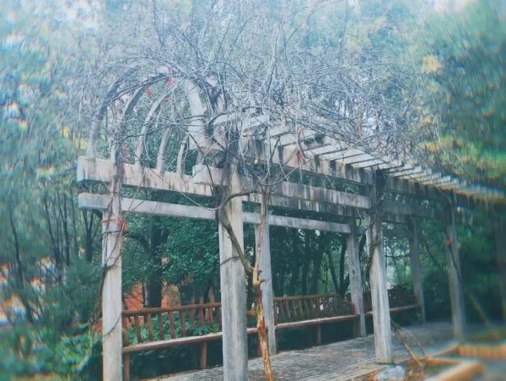 鍜屽悓妗岀帺浣犵敾鎴戠寽,鍜屽皬姹熷幓娓镐箰鍦虹帺