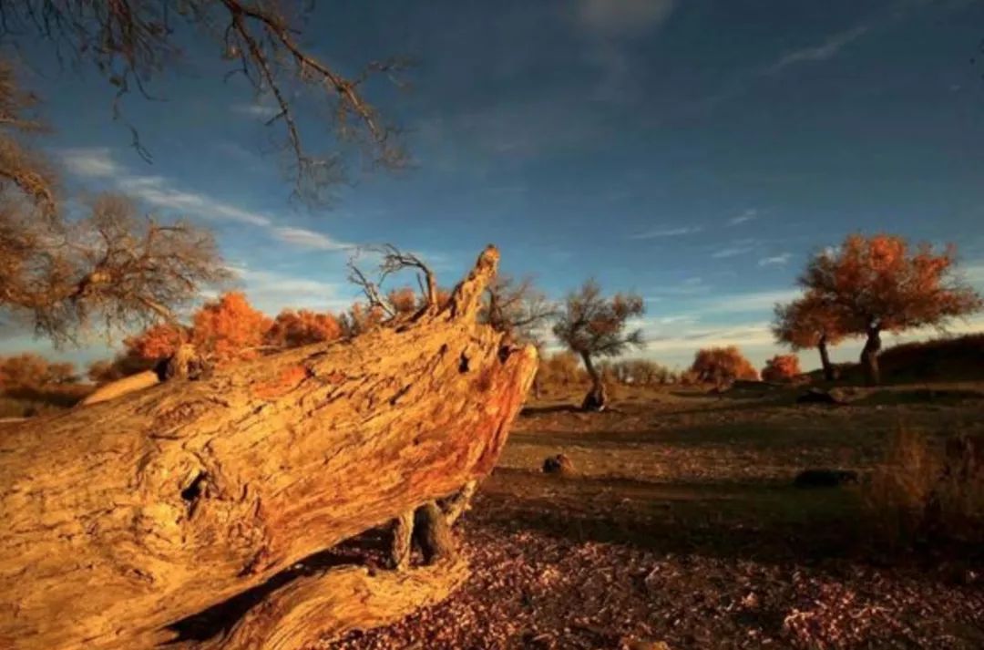 互联网人：焦虑、抑郁症的自我治疗方法！