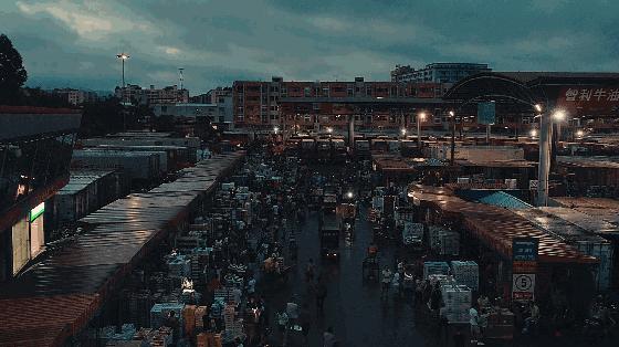 赣州车厘子最新官方消息,赣州产车厘子