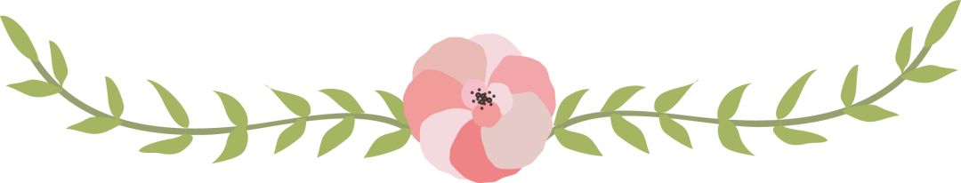 串串“酸溜溜”化作颗颗“金豆豆”——左云县沙棘产业映红农民“致富路”