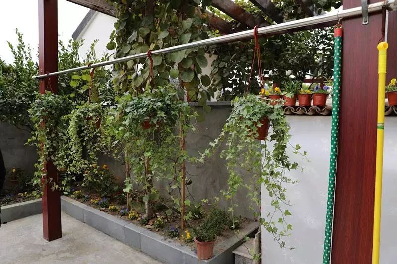 萧山美丽新农村建设规划,萧山农村发展规划