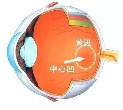 江湖论剑实录引人深思片段,江湖论剑实录深度解析