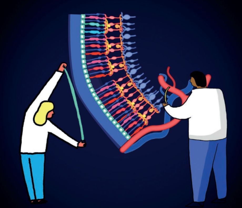 江湖论剑实录引人深思片段,江湖论剑实录深度解析