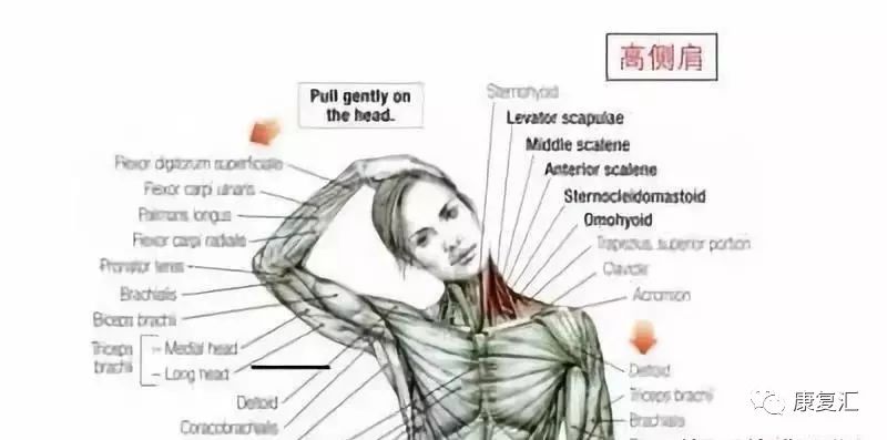 高低肩怎么快速纠正改善,严重高低肩怎么自我矫正