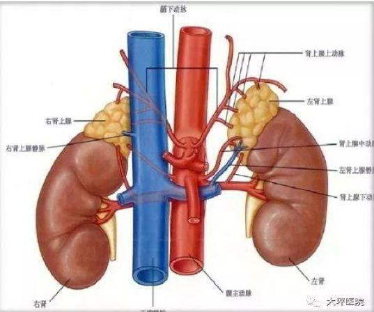 被忽视的健康,被忽略的疾病藏着致命的风险