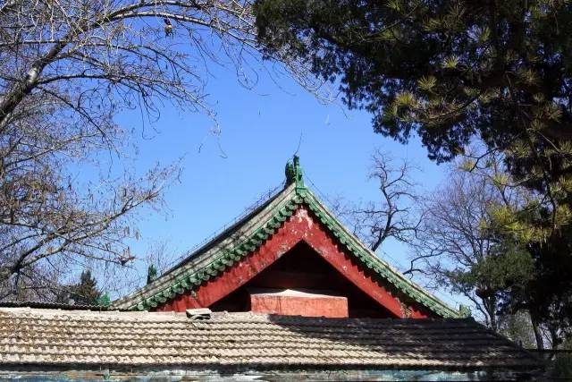 不会拍照构图怎么办,不会拍照教你拍照