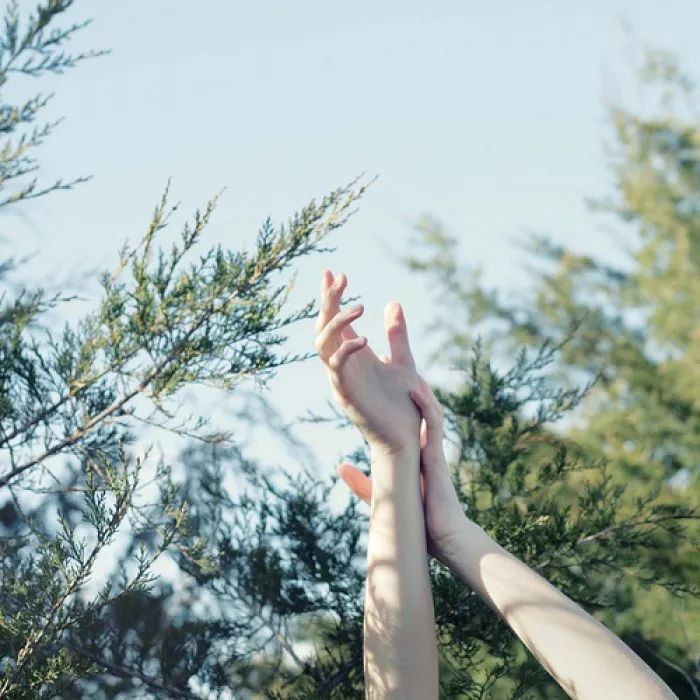 面部伤口美容缝合后关注事项,面部美容缝合视频