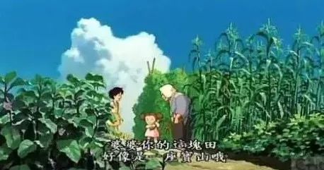 龙猫30年视频,龙猫三十年后是什么样子