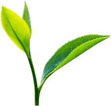 武夷山一日游详细攻略,武夷山超详细旅游攻略