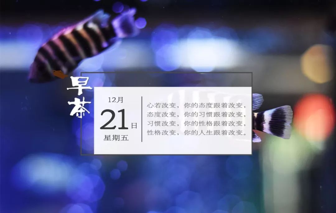 去香港买药品要关注什么,香港必买好药