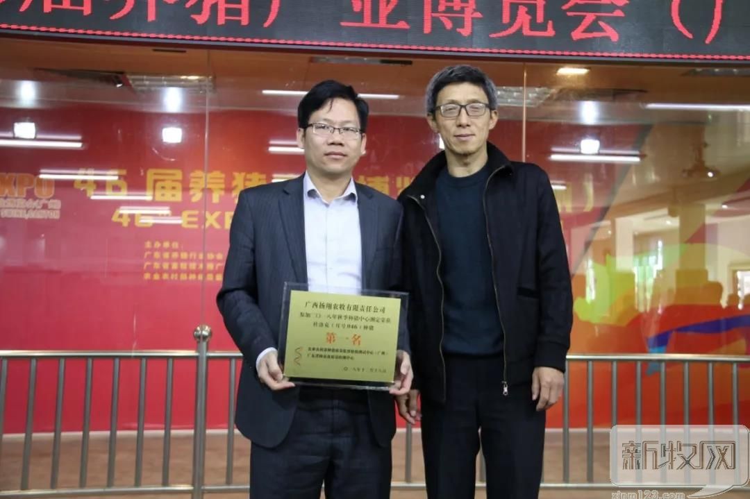 扬翔美系杜洛克公猪,扬翔杜洛克公猪