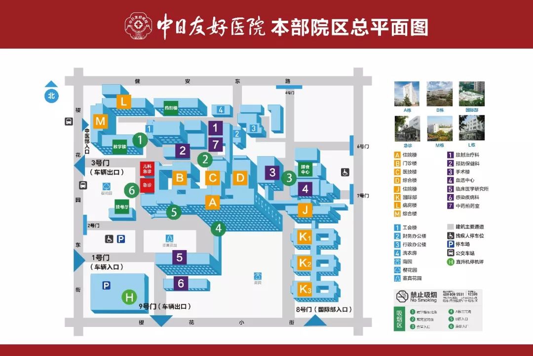 【原创科普】肛裂为何难以自愈？