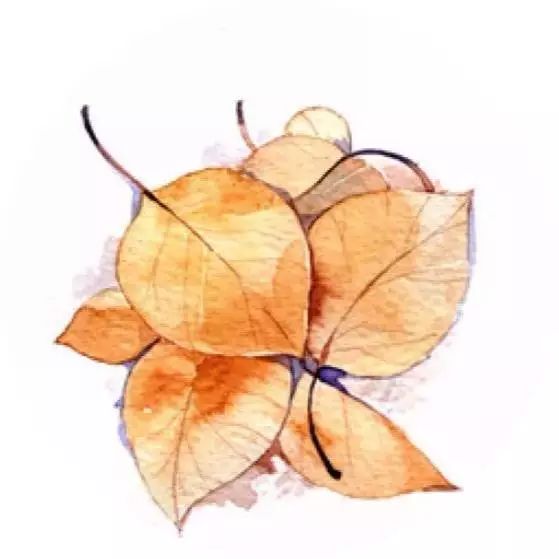 关注春天,关注身边的昆虫