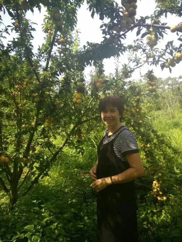 首届道德模范颁奖典礼视频,2018年河口县道德模范