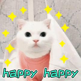 猫癣传染了给人该怎么办,人被传染上猫癣能用皮特芬吗