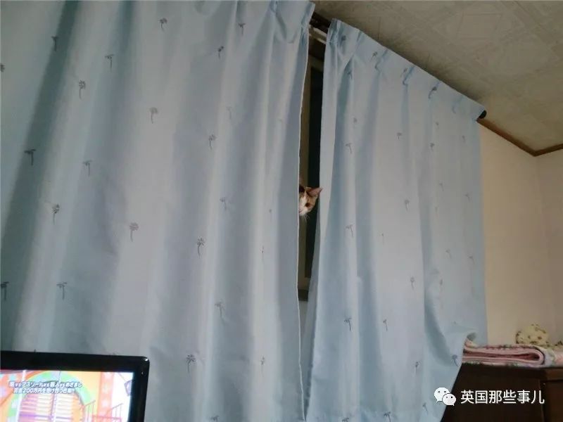 柯南黑衣人童年阴影,柯南童年阴影系列黑影人