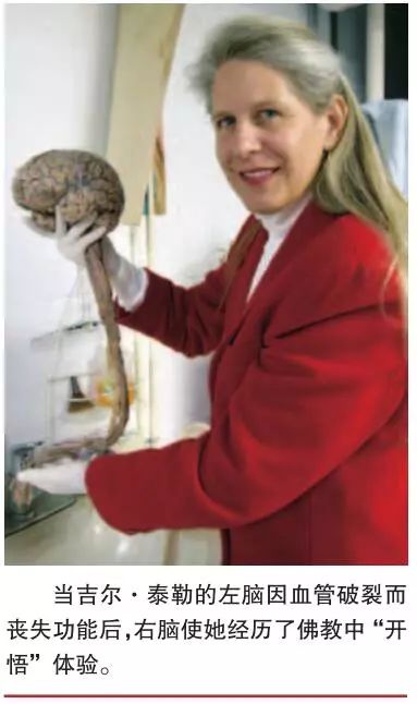 鍏抽棴宸﹁剳,鍏抽棴宸﹁剳鎵撳紑鍙宠剳