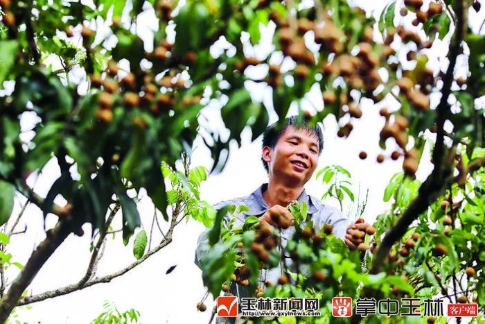 现在的博白是怎样的,你知道博白有多牛吗