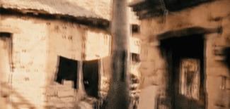 禹州东城区最新事件,禹州市场发生的事