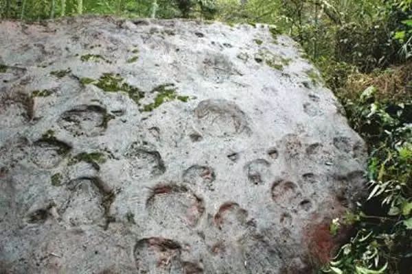 方志四川官网,四川改革开放40年文章