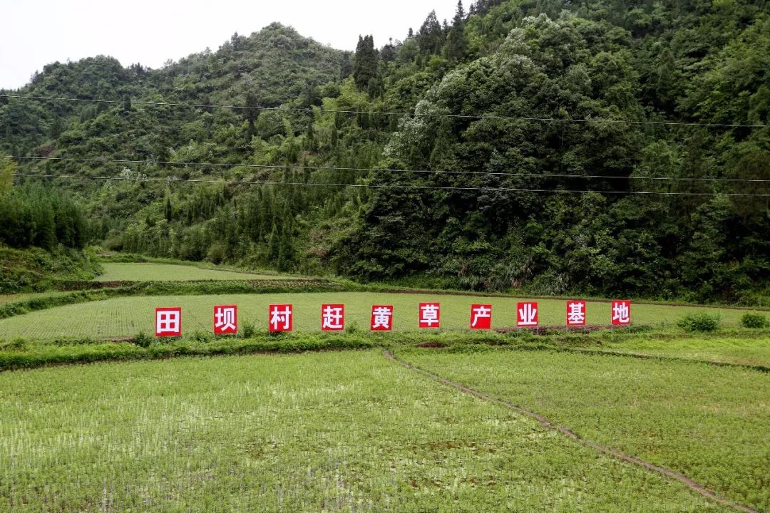 方志四川官网,四川改革开放40年文章