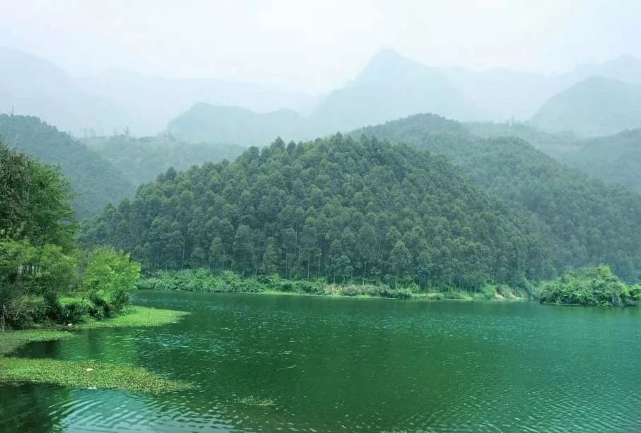 方志四川官网,四川改革开放40年文章