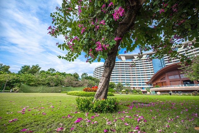 三亚湾旅游攻略四天三晚亲子,3天玩转三亚