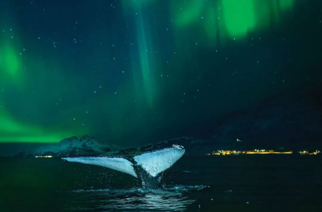 极光是上帝送给秋波吗,极光是上帝的烟火