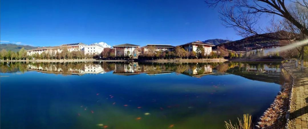 丽江在世界排名第一的大学,想想就激动