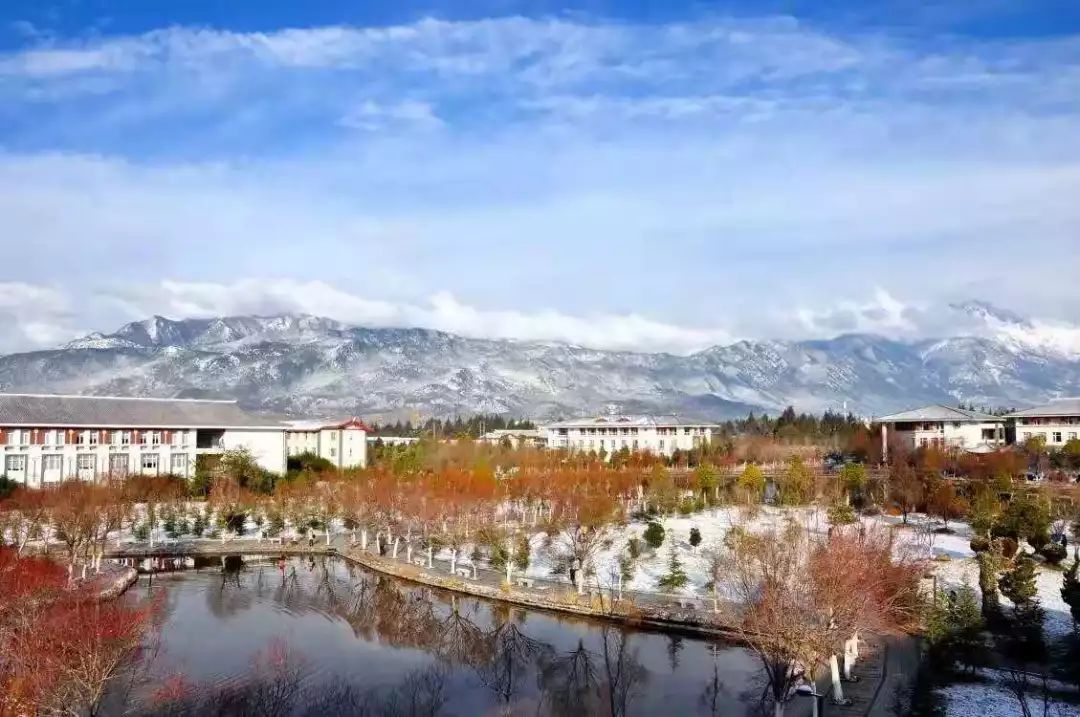 丽江在世界排名第一的大学,想想就激动