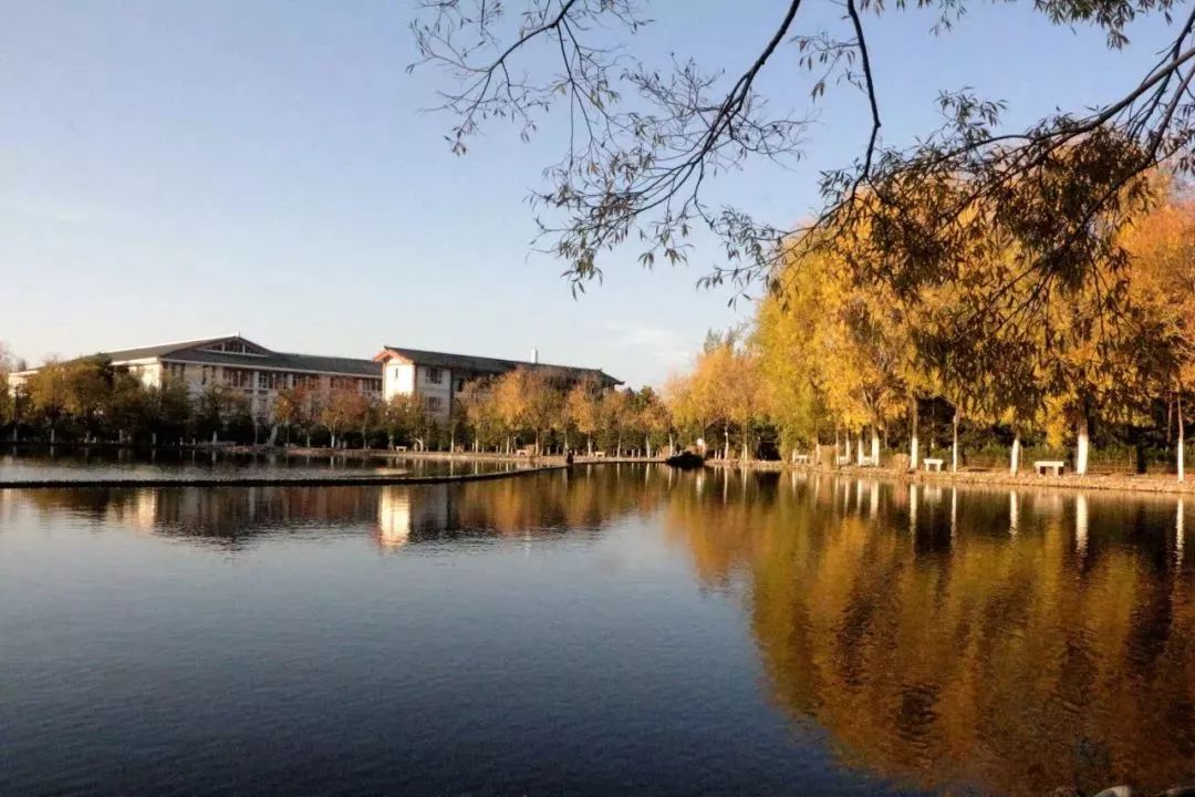 丽江在世界排名第一的大学,想想就激动