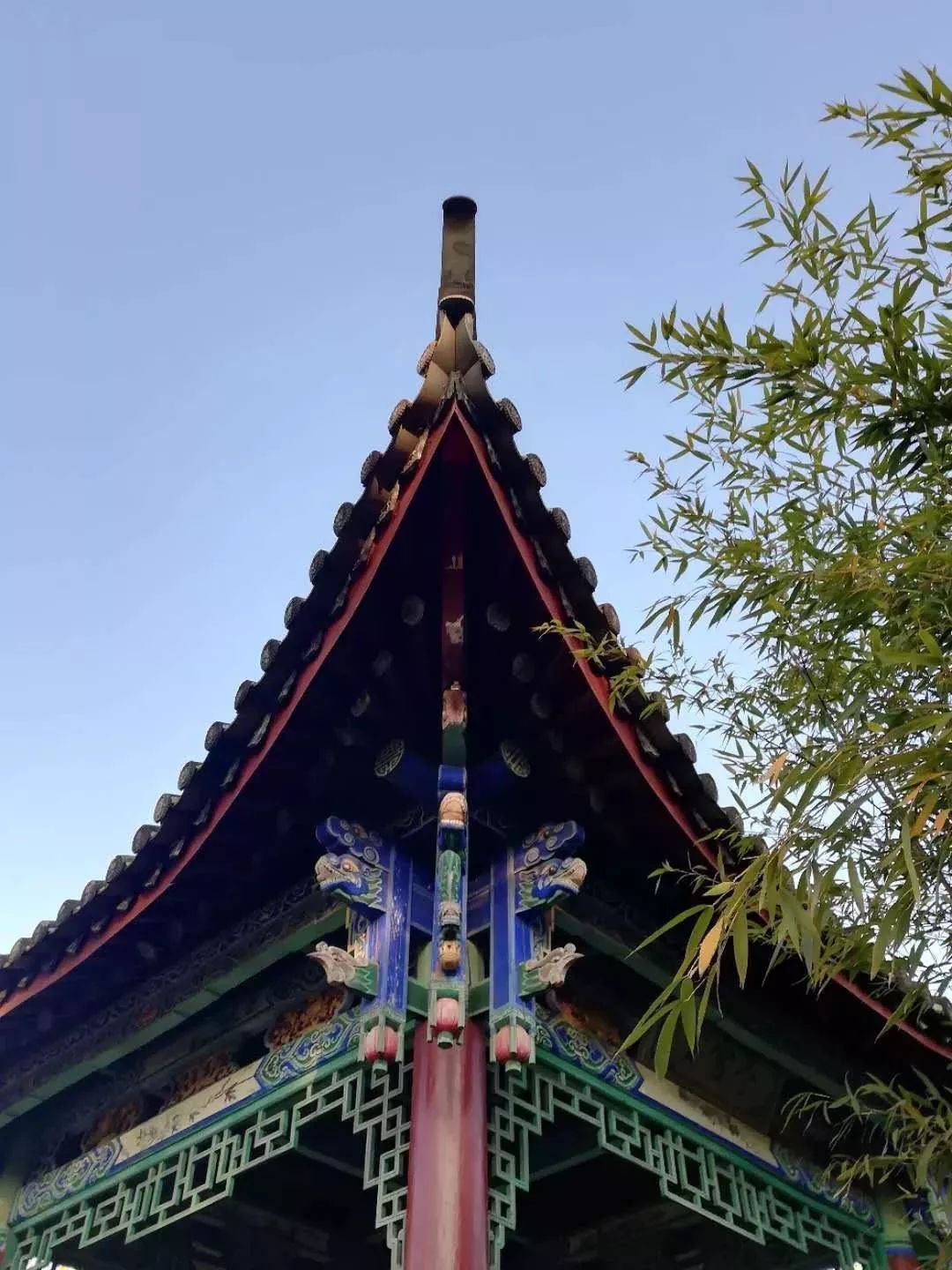 丽江在世界排名第一的大学,想想就激动