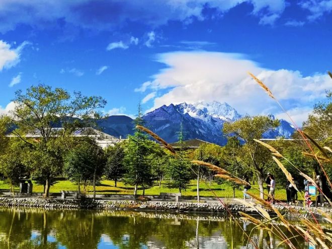 丽江在世界排名第一的大学,想想就激动