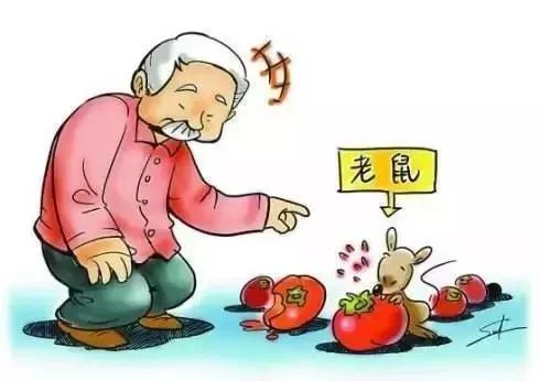 防灾减灾科普时间,减灾科普视频