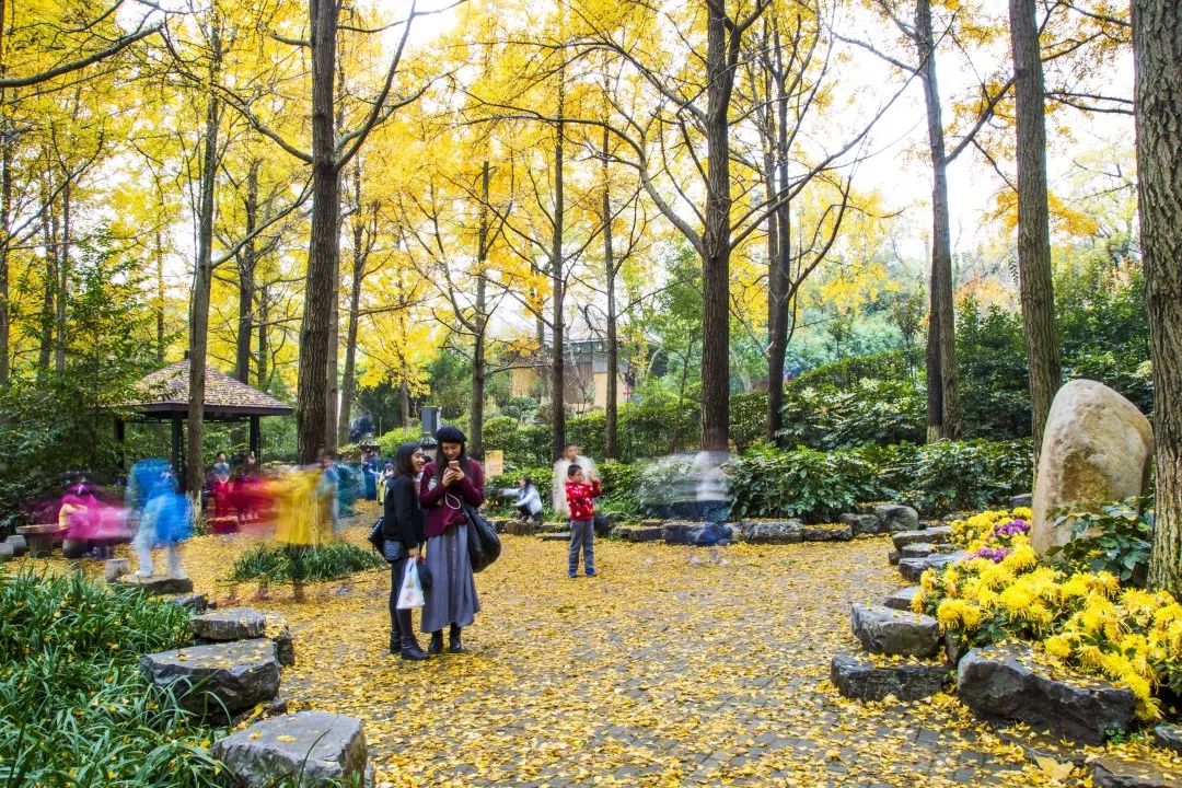 改革开放40周年图片展进行巡展,改革开放40周年南京图片展现场