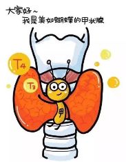 甲状腺结节怎样快速治疗,甲状腺结节3级喝中药能消除吗