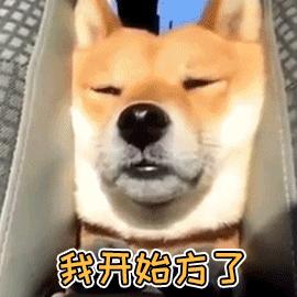 2019年春运最强攻略来啦！从成都出发最早该买哪天的票？