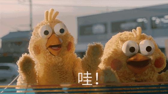 中联重科工程起重机有限公司招聘,中联重科工程起重机分公司招聘