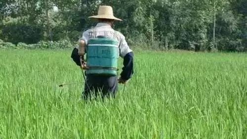 改革开放40年的得与失的经验教训,40年前的改革开放有什么困难之处