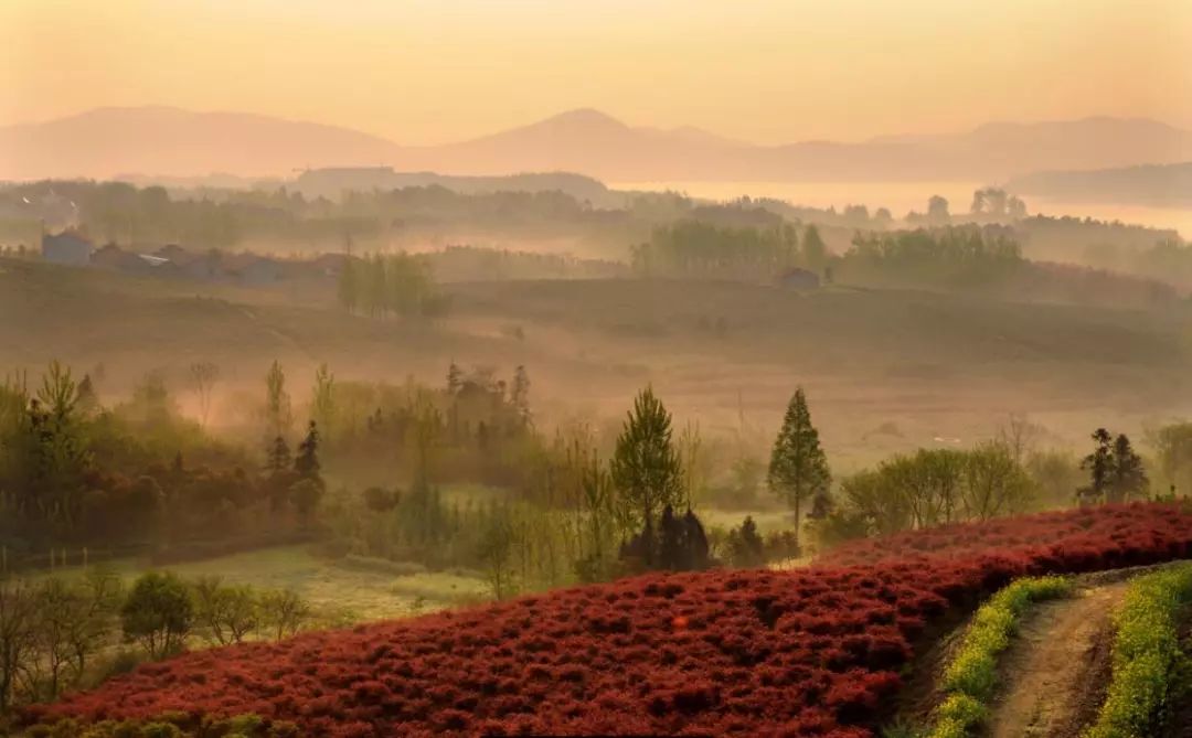 溧阳市农田出租,溧阳农民自建房