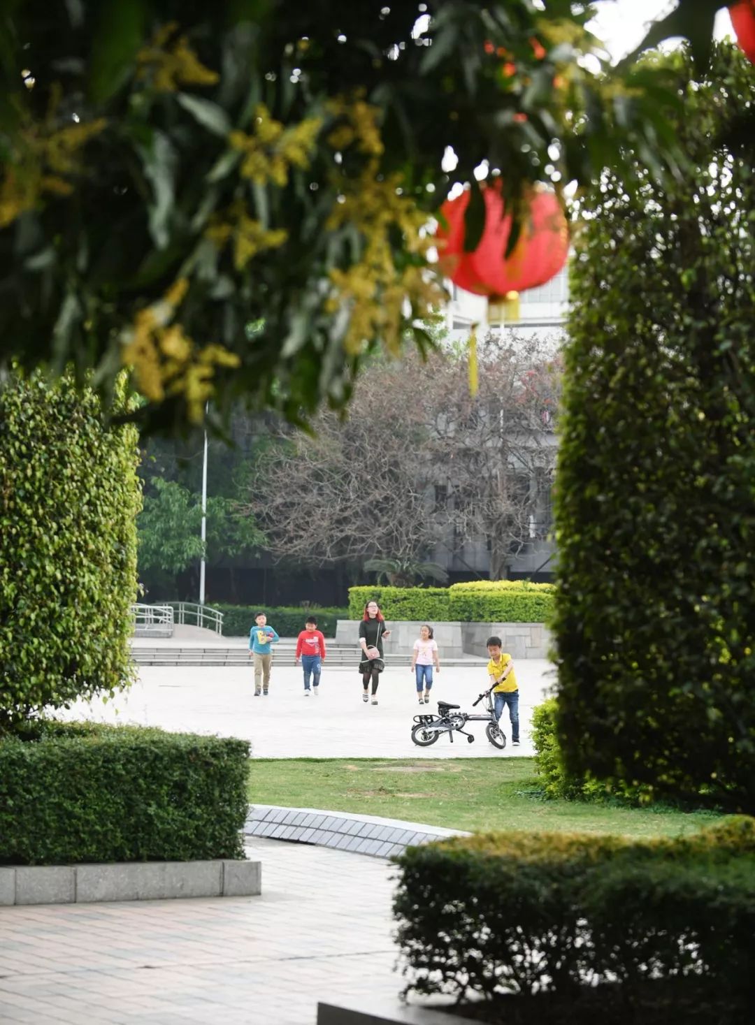 这里是深圳,这里是深圳宝安