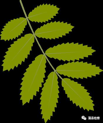 「基层动态」蒲县：开讲啦！开讲啦！冉姐、晶姐、桢“老师”、红姨陆续登场~