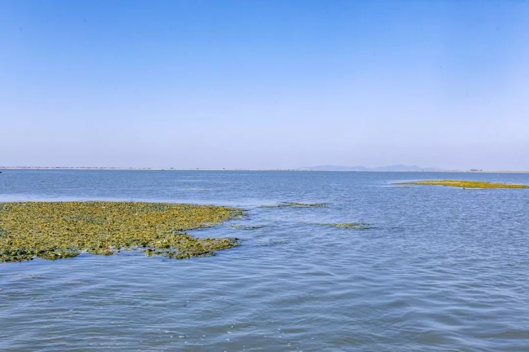 从边贸小镇到产业强区，身披五个“国字号”荣誉！马鞍山这个地方是怎么做到的？