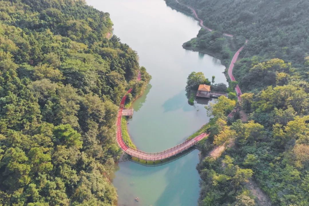 从边贸小镇到产业强区，身披五个“国字号”荣誉！马鞍山这个地方是怎么做到的？