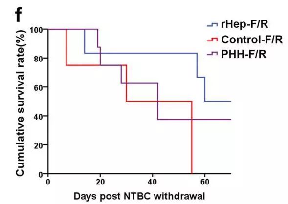 逆转癌细胞，被中国科学家实现了！东方肝胆外科医院团队成功将肝癌细胞重编程，癌细胞回归正常细胞丨科学大发现