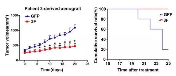 逆转癌细胞，被中国科学家实现了！东方肝胆外科医院团队成功将肝癌细胞重编程，癌细胞回归正常细胞丨科学大发现
