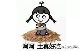 澳洲科学家如何减肥,澳洲科学家发明神药