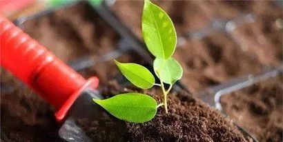 明天起，潍坊人的生活将发生这些变化！事关钱袋子！