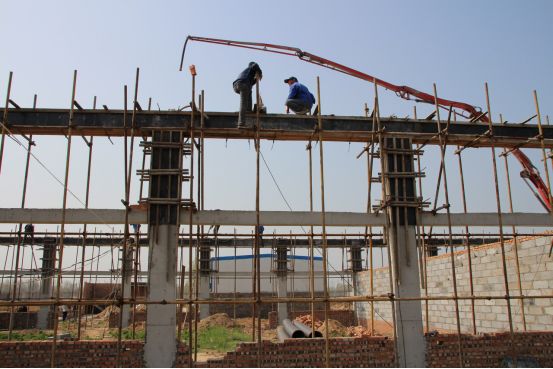 夏邑县特色农村,夏邑县前十村庄