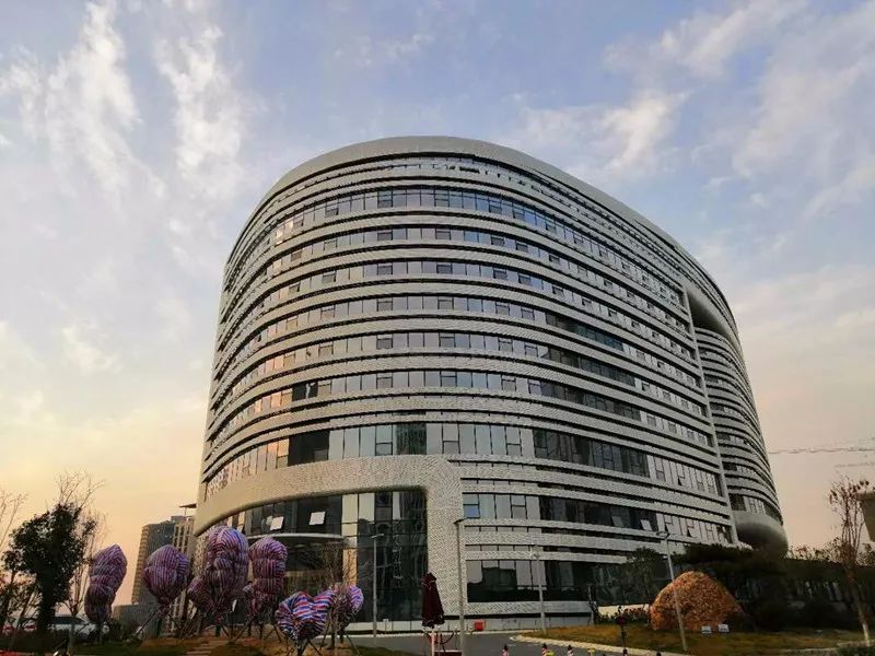 龙子湖大型商业综合体,龙子湖商业中心